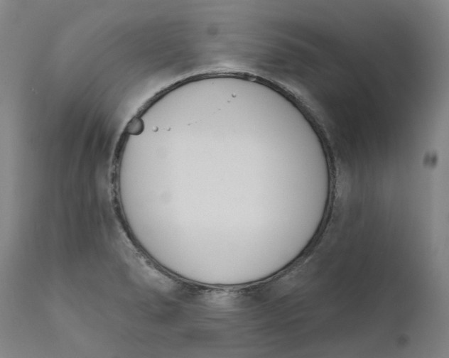 X0000111181278200907151315