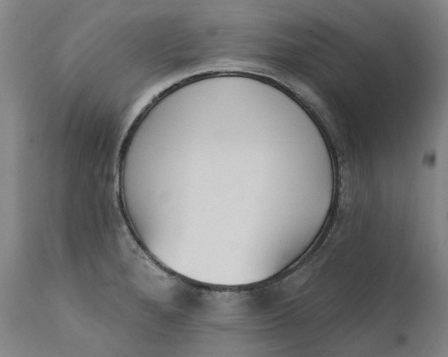 X0000111181280200907151315