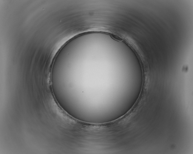 X0000111181284200907151315