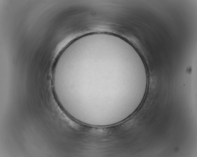 X0000111181286200907151315