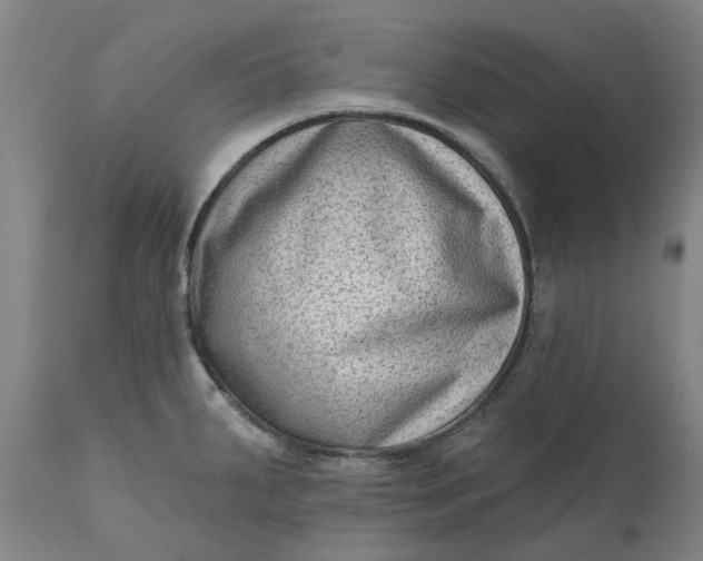 X0000111181287200907151315