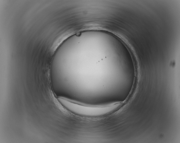 X0000111181289200907151315