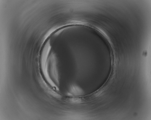 X0000111181291200907151315