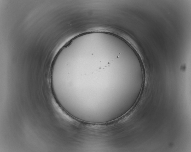 X0000111181293200907151315