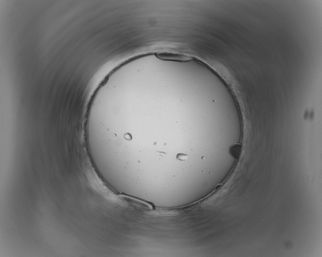 X0000111181296200907151315