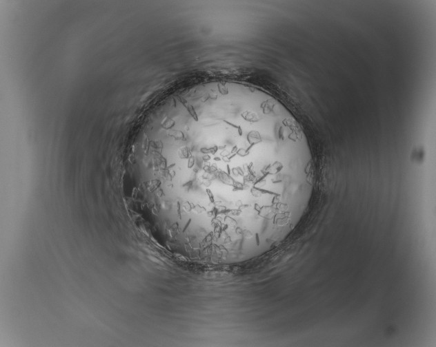 X0000111181297200907151314