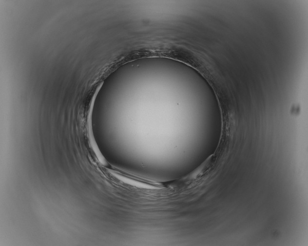 X0000111181298200907151314