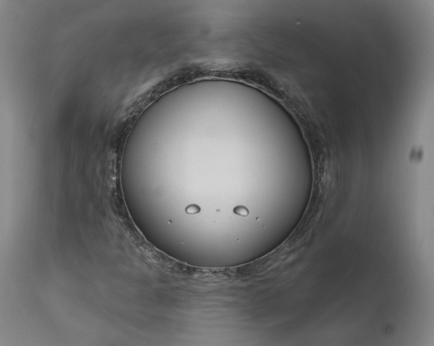 X0000111181301200907151314