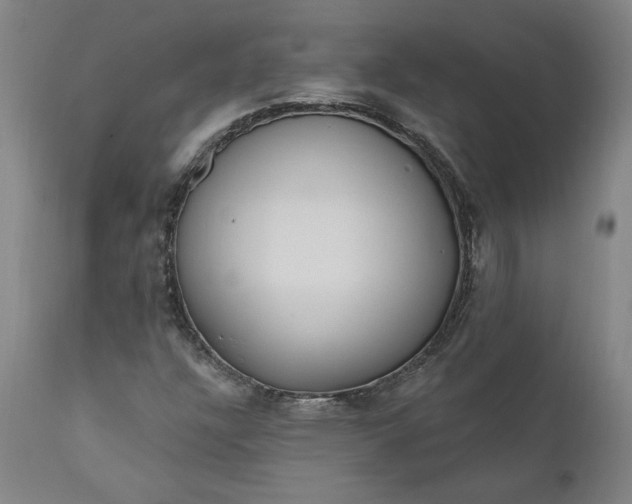 X0000111181304200907151314