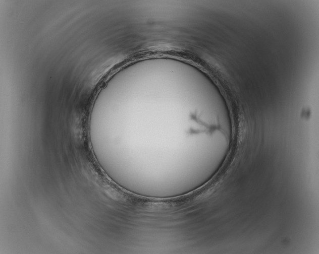 X0000111181305200907151314