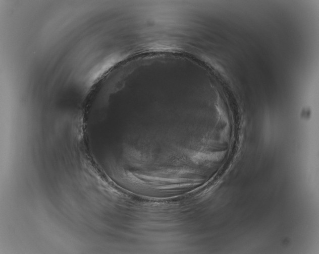 X0000111181306200907151314