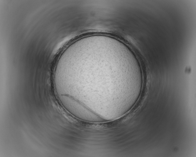 X0000111181307200907151314