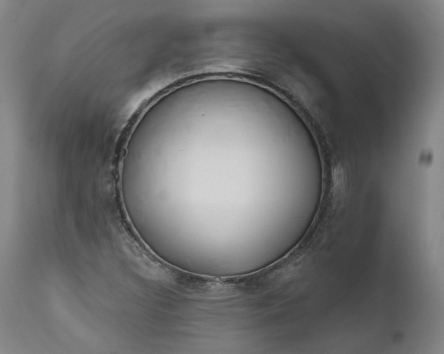 X0000111181308200907151314