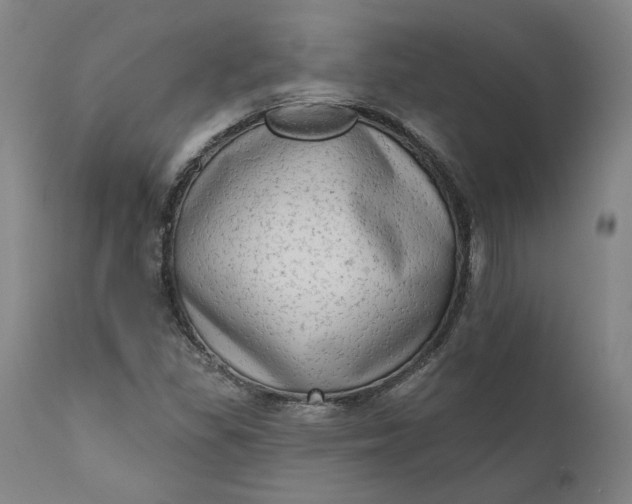 X0000111181309200907151314