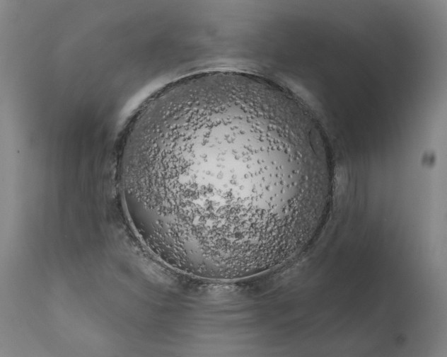 X0000111181310200907151314