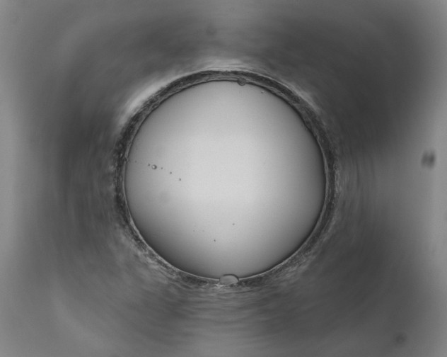 X0000111181311200907151314