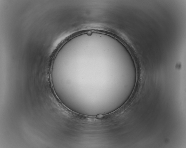 X0000111181312200907151314