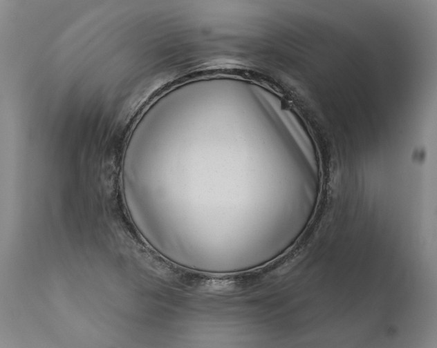 X0000111181313200907151314