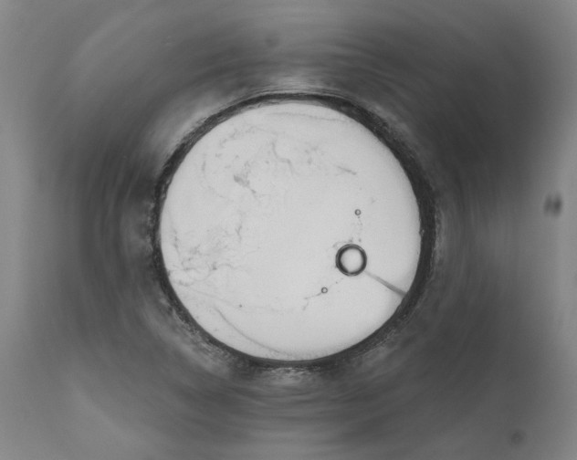 X0000111181314200907151314