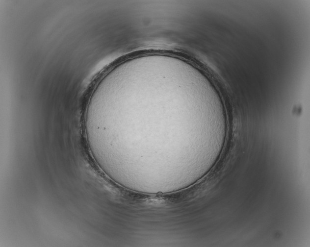 X0000111181315200907151314