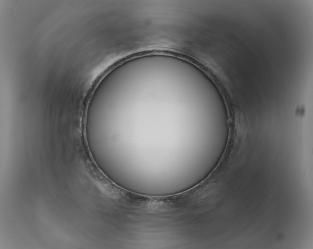 X0000111181316200907151314