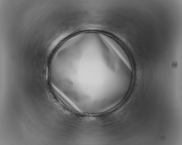 X0000111181317200907151314