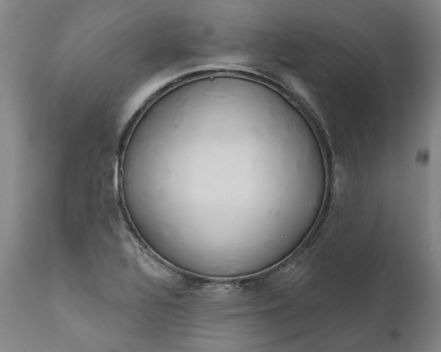 X0000111181320200907151314