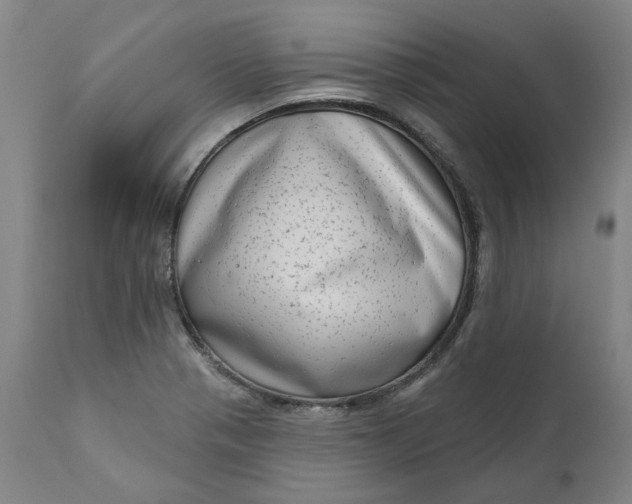 X0000111181321200907151314