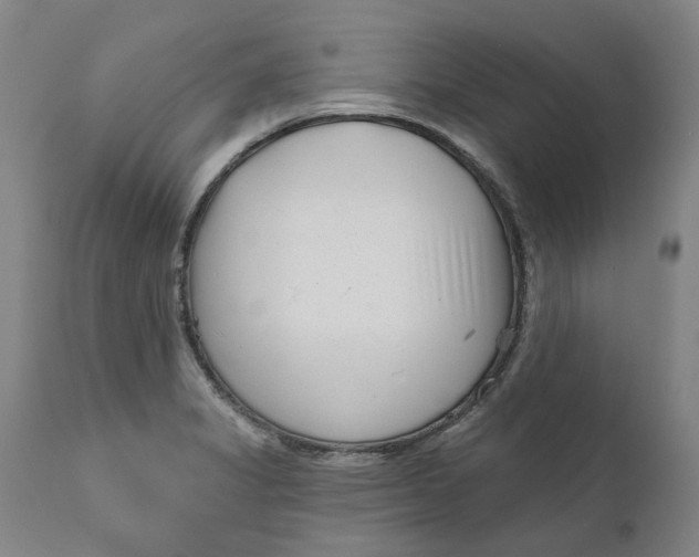 X0000111181325200907151314