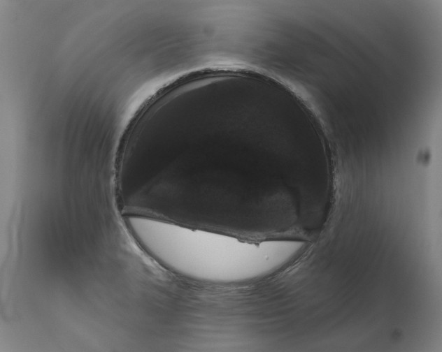 X0000111181327200907151314