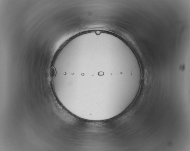 X0000111181328200907151314