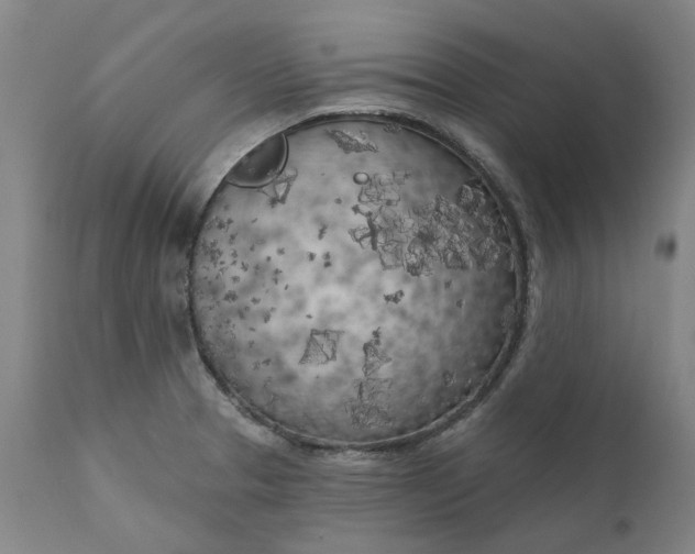 X0000111181329200907151314