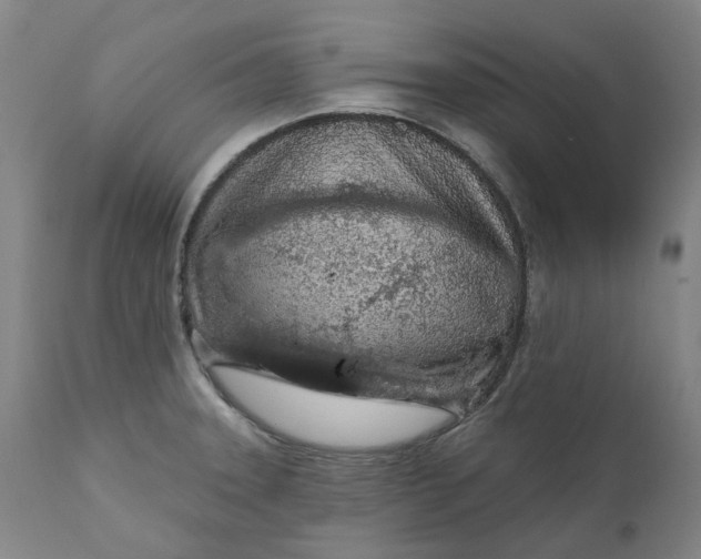 X0000111181331200907151314