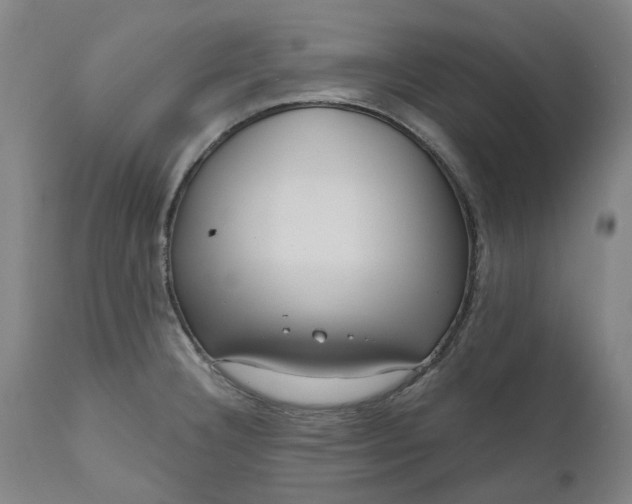 X0000111181332200907151314