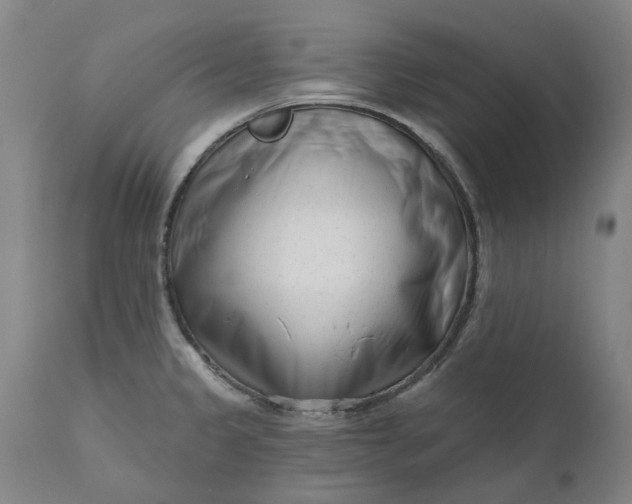 X0000111181333200907151314