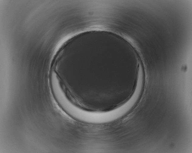 X0000111181334200907151314