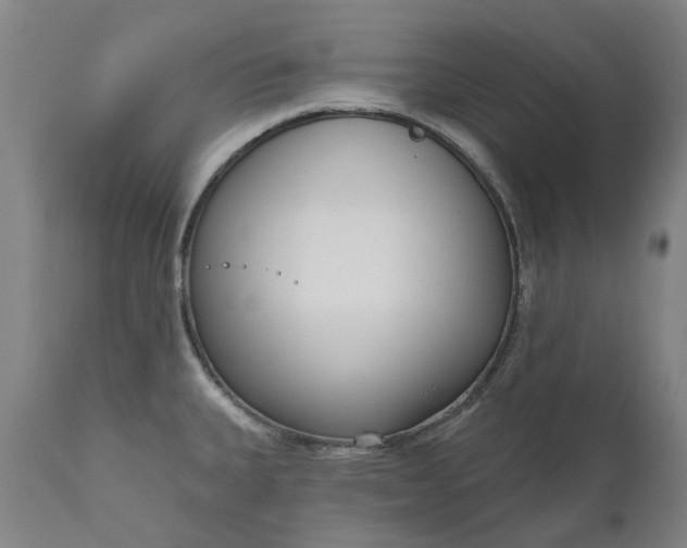 X0000111181335200907151314