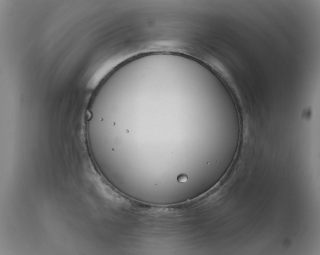 X0000111181336200907151314