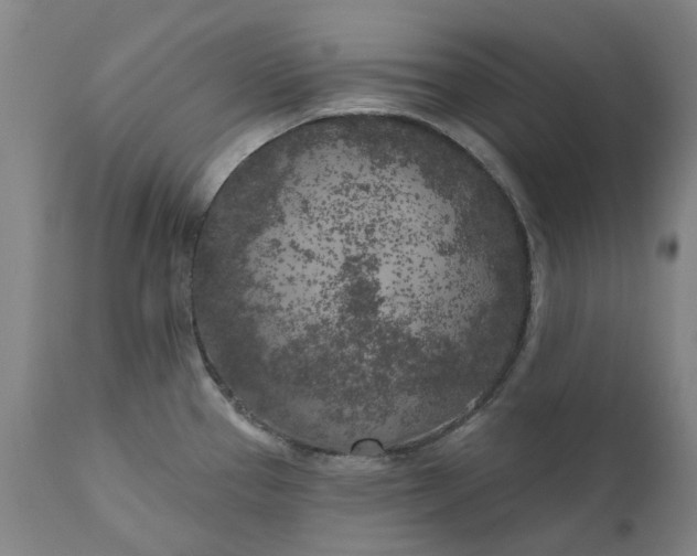 X0000111181337200907151314