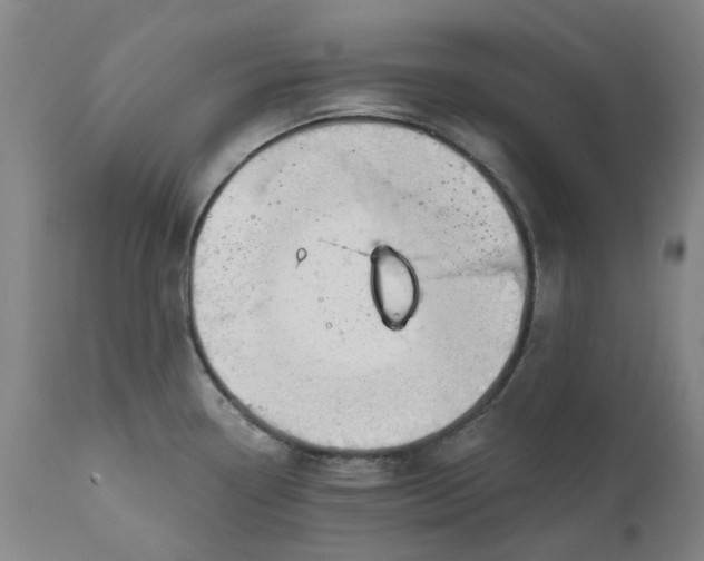 X0000111181338200907151314