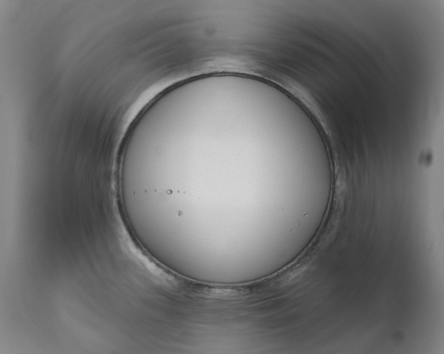 X0000111181339200907151314