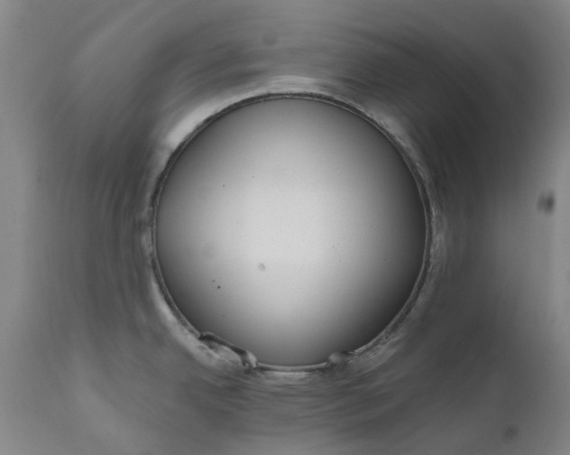 X0000111181342200907151315