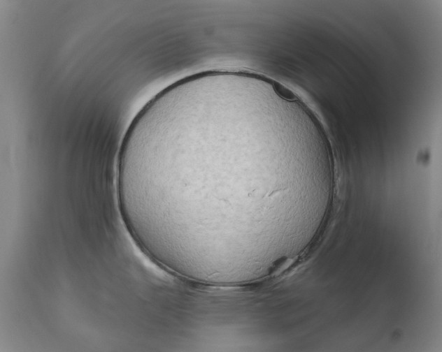 X0000111181343200907151315