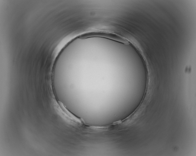 X0000111181344200907151315