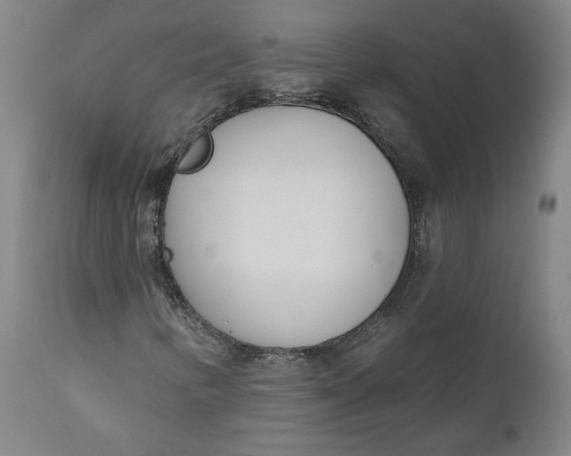 X0000111181346200907151314