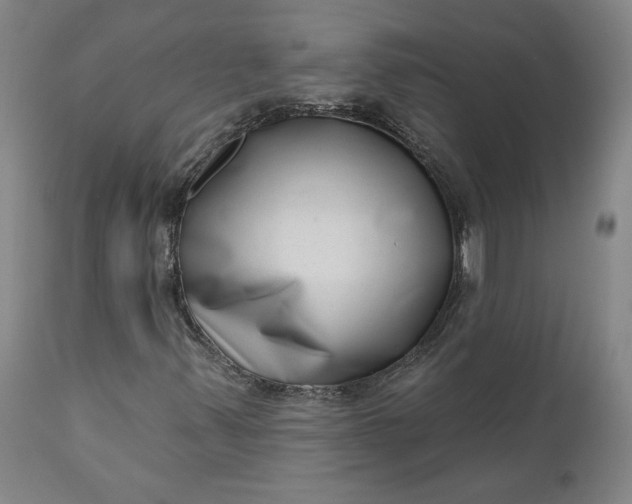 X0000111181347200907151314