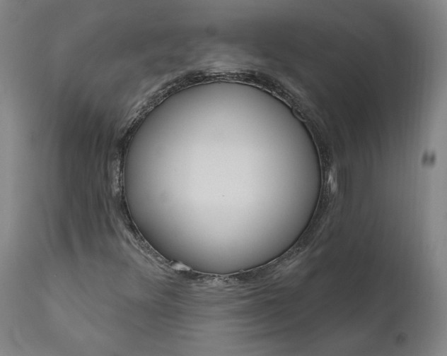 X0000111181348200907151314