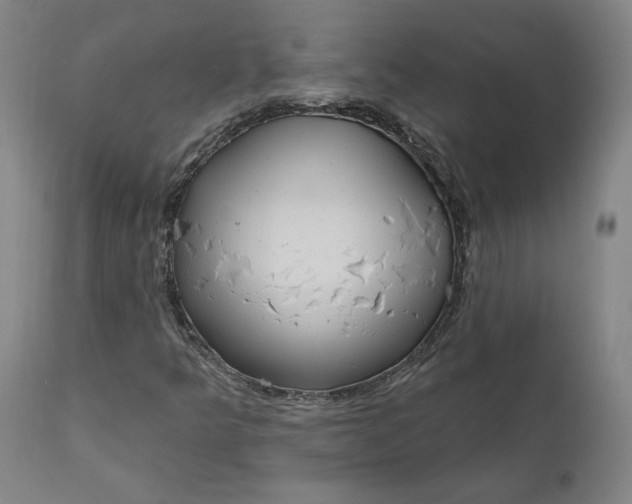 X0000111181349200907151314