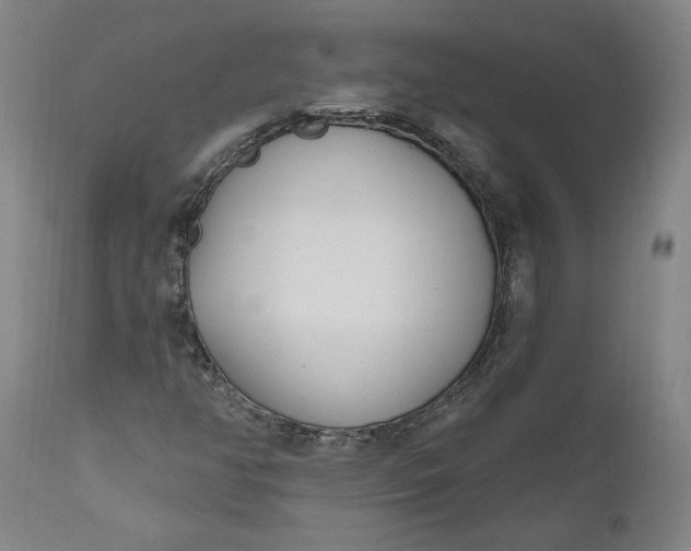 X0000111181350200907151314