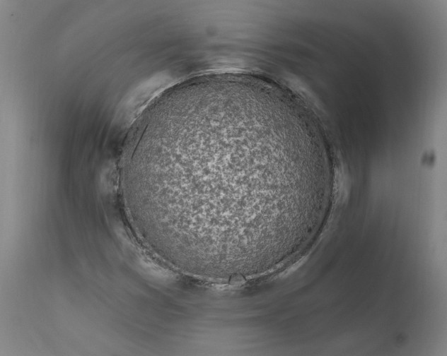 X0000111181353200907151314